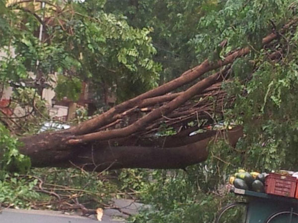 Thunderstorm hits Bengaluru