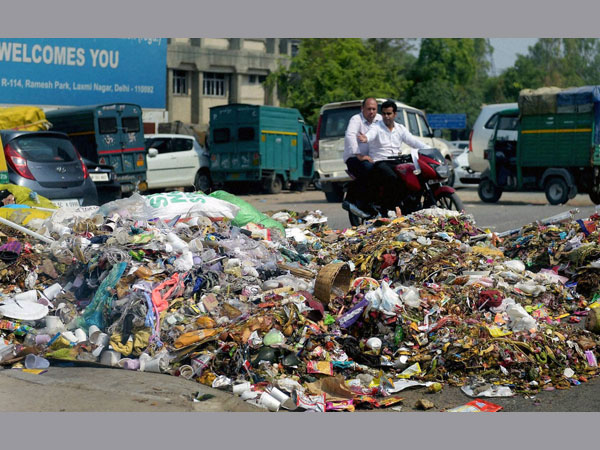 World Environment Day