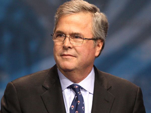 jeb bush jeb bush