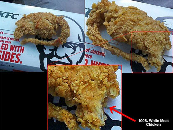 KFC Chiecken Fry or KFC Rat Fry?