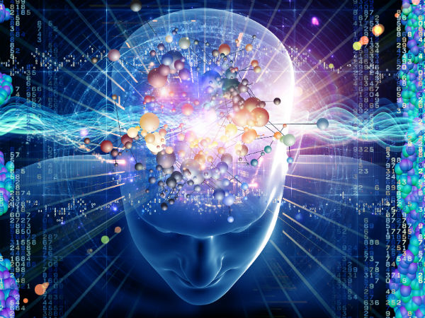 Animals have 2 working memory Animals have 2 working memory