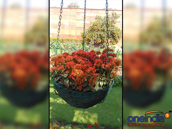 All presidents have taken keen interest in maintenance of Mughal Gardens