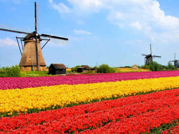 Netherlands