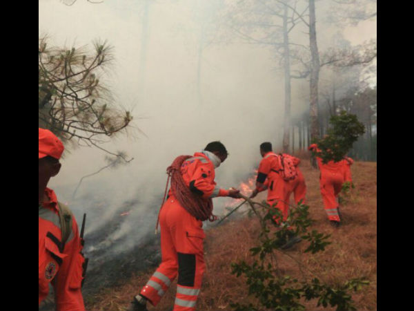 In pics: NDRF combating Uttarakhand fire