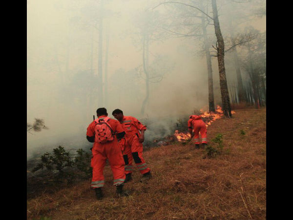 In pics: NDRF combating Uttarakhand fire