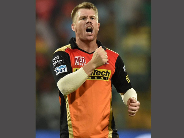 IPL gets a new champion in Sunrisers hyderabad