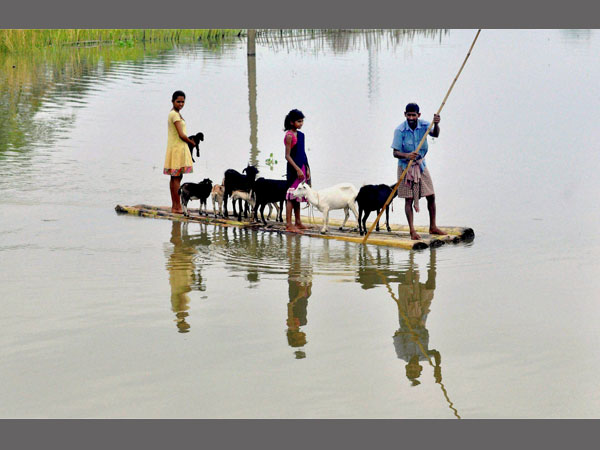 Villagers wade through floods with their cattle