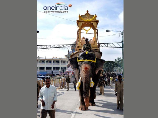 Elephants take part in rehersals for the Jumbo savari