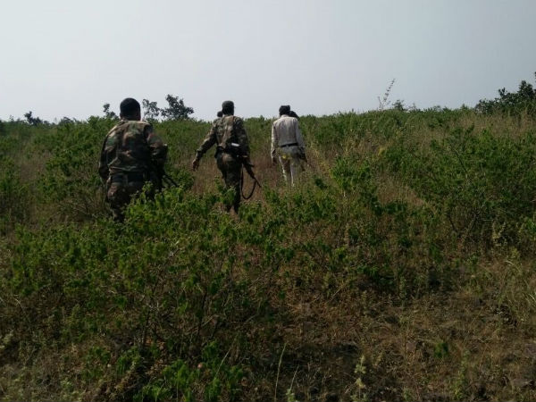 Search operation conducted by security personnel 