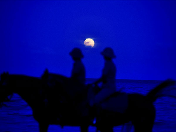 Shades of blue and the supermoon in Chennai