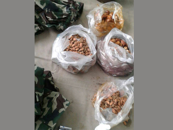 Terrorists were in for a long haul