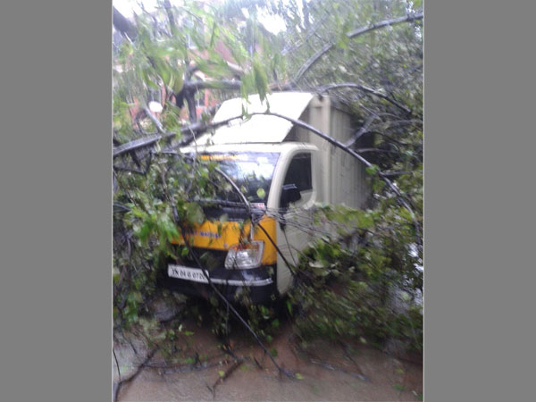 Effects of Cyclone Vardah