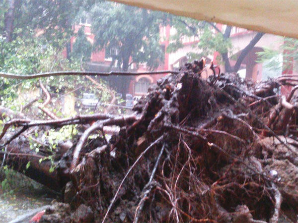 Effects of Cyclone Vardah