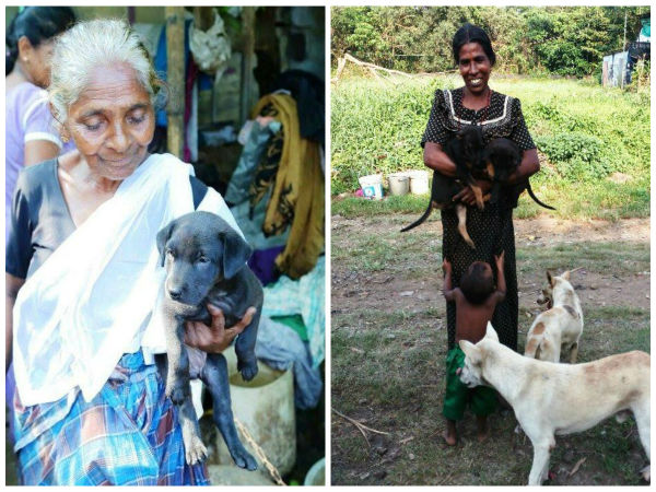 A Campaign launched for Amminiamma and Ayesha A Campaign launched for Amminiamma and Ayesha