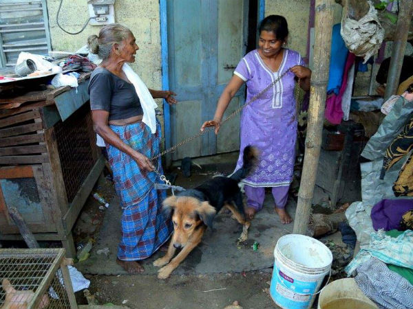 Dogs are saviours for these women: Dogs are saviours for these women: