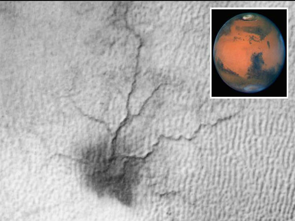 Range of the spider: