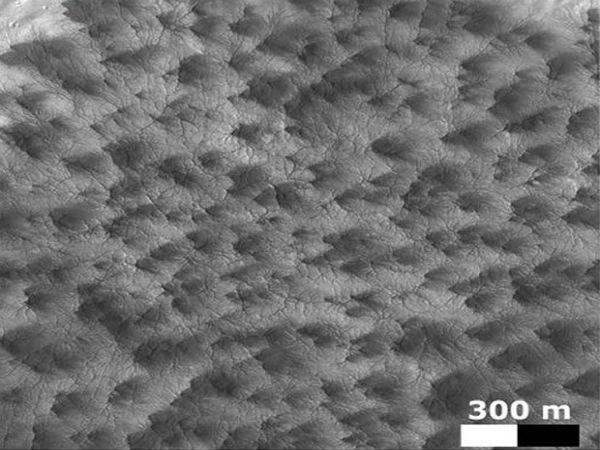 Where are they found: