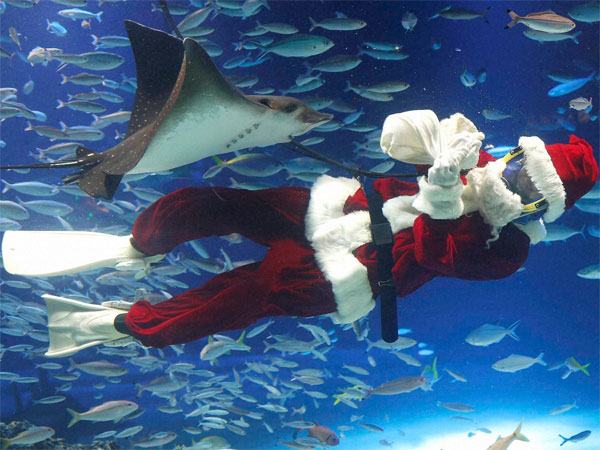Diver Santa seen in Tokyo