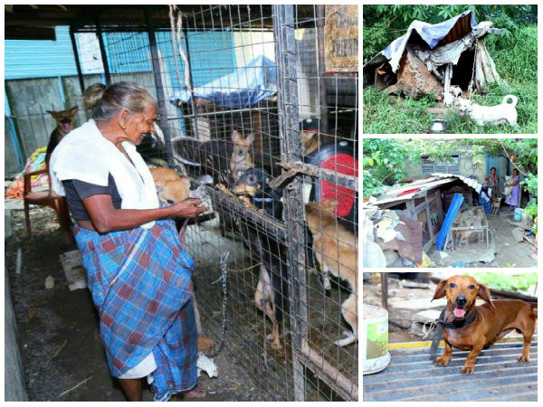 Two women take care of 100 animals Two women take care of 100 animals
