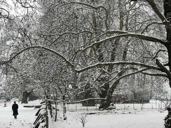 Cold conditions in J&K to improve after Jan 17