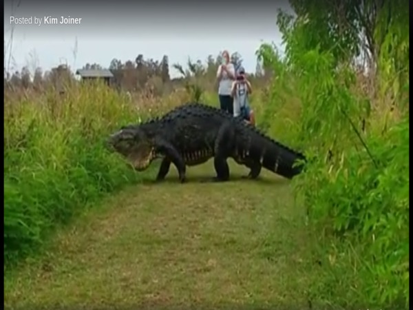 Photographers flank 'Humpback' to get a best shot Photographers flank 'Humpback' to get a best shot