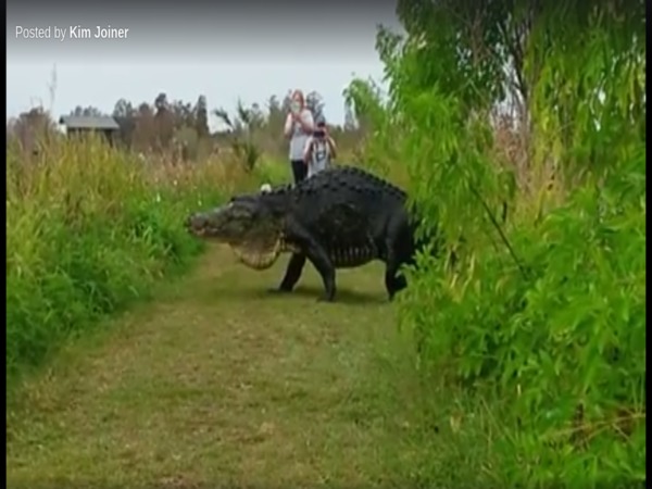 Onlookers watch in awe Onlookers watch in awe