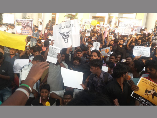 Protests were against PETA as well