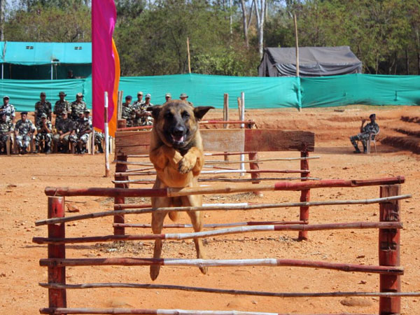 Able to leap tall buildings