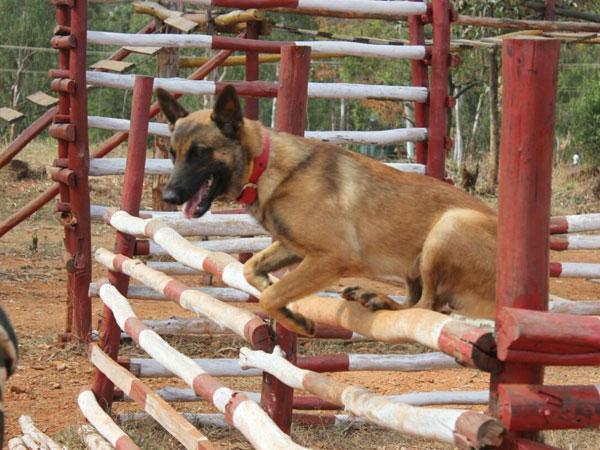 I ain’t no fence-sitter