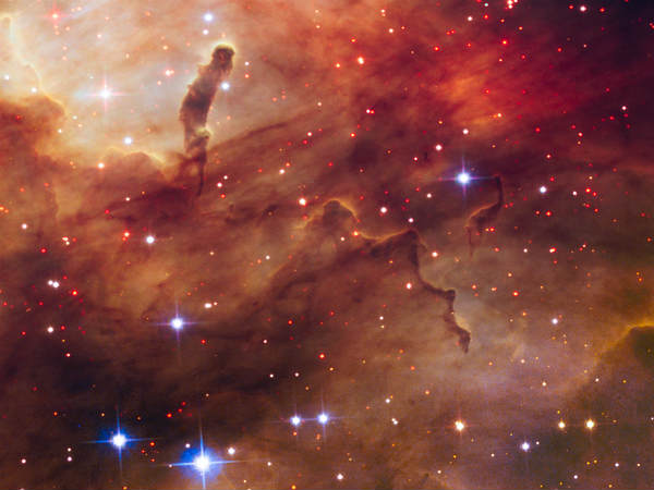 The Westerlund 2. Image courtesy: NASA/ESA