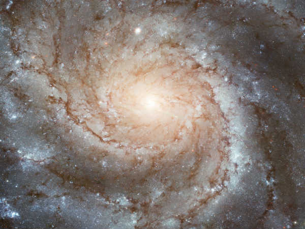 The Pinwheel Galaxy. Image courtesy: NASA/ESA