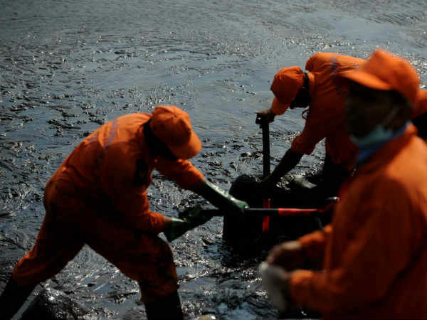 Effect of an oil spills?