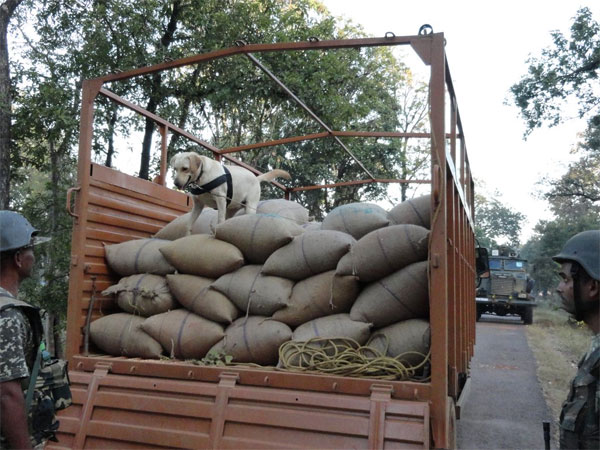 A dog supervises an area standing atop an army vehicle