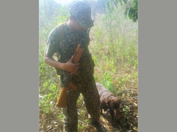 A dog accompanies a soldier in the jungle