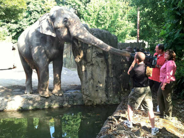 Outcry from animal activists