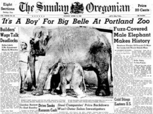 His birth had made headlines