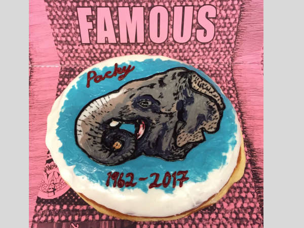 Vets had run out of all options to treat Packy