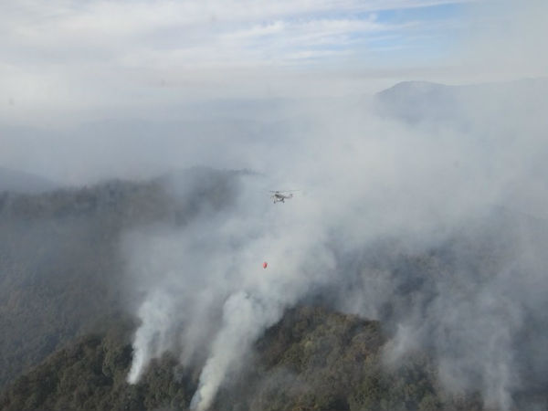 The fire broke out last week 