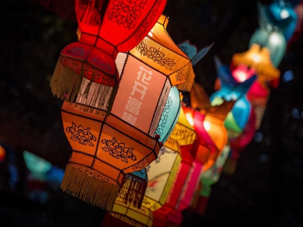 Hundreds turn up in Auckland domain