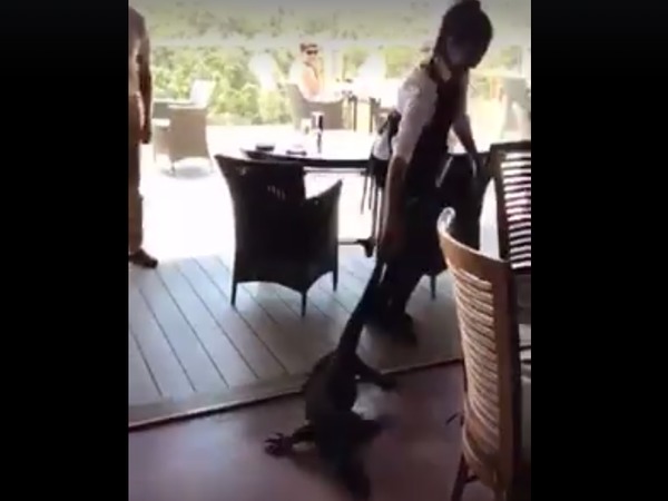 Flung it out of the restaurant