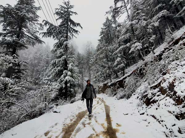 Highway blocked due to heavy snowfall