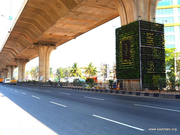Why vertical gardens?
