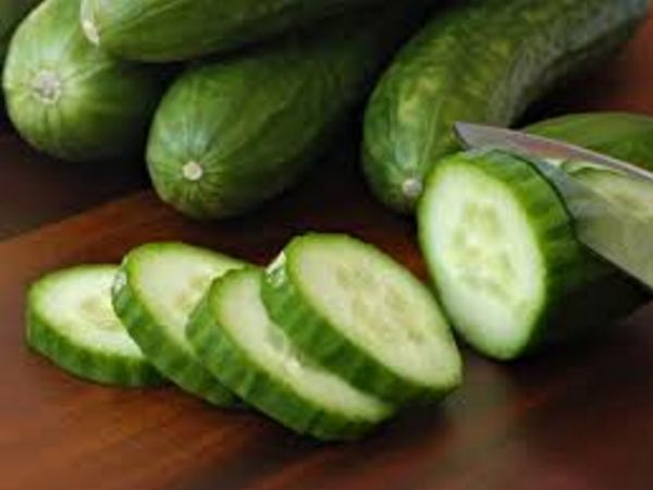 Cucumber