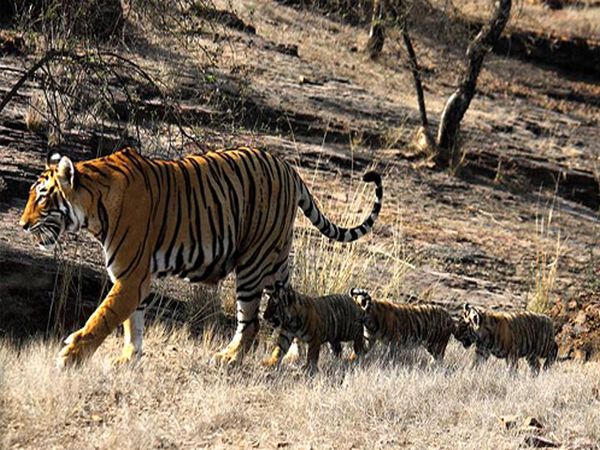 Park spread over 932 square kilometers