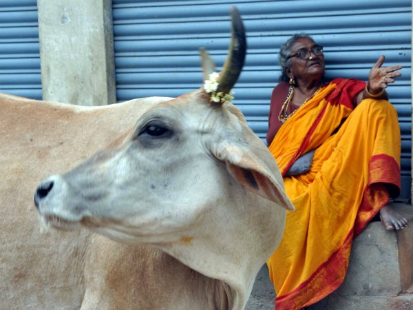 Dogs eat up old woman, who went missing from MP hospital Dogs eat up old woman, who went missing from MP hospital