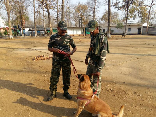 With CRPF since 2015