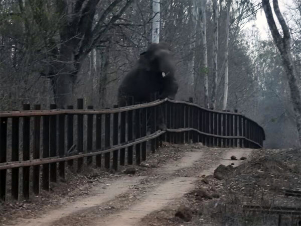 Barricade? What's that?