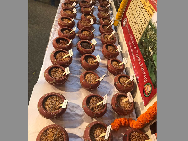 Superfood for a super lifestyle