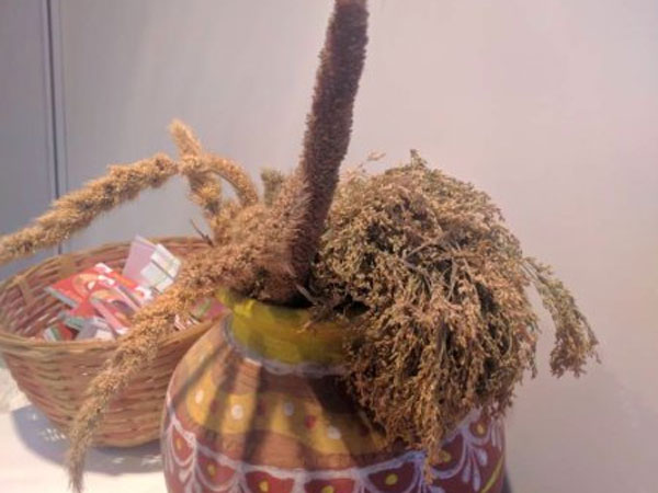 Farmer's food: Millet