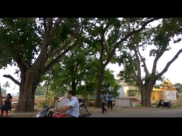 Politician mocked the citizens